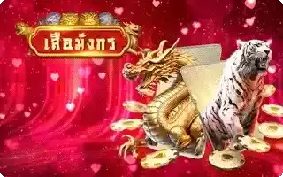 เกมไพ่4
